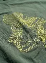 EMBTS6- Forest Green Details.webp
