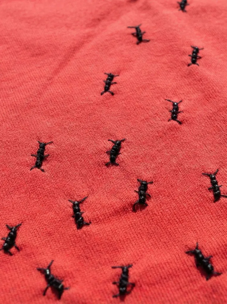 EMBTS11 - Red Details.webp