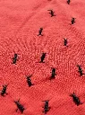 EMBTS11 - Red Details.webp