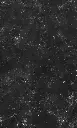 2_Front_BACKPLAIN 1.webp