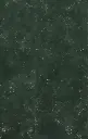 8_Front_BACKPLAIN 2.webp